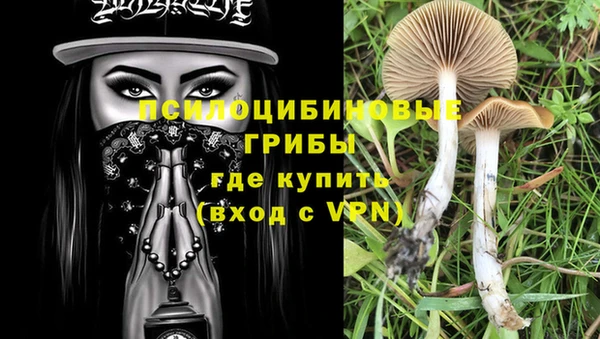 мдпв Лагань