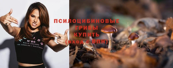 ECSTASY Лабытнанги