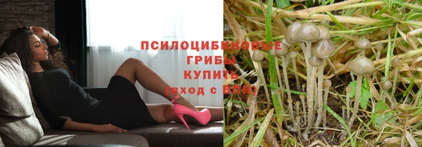 мдпв Лагань
