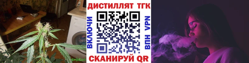 как найти закладки  Новозыбков  ТГК жижа 