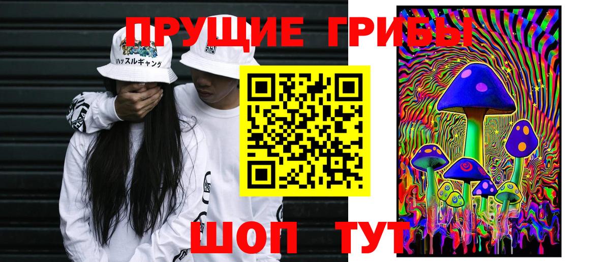 Новозыбков  Галлюциногенные грибы мицелий  Вход с VPN 